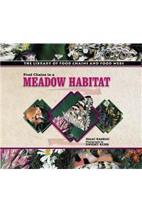 Food Chains in a Meadow Habitat