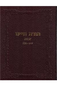 Toras Chaim - Shemos Vol. 1