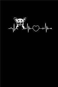 (Chihuahua heartbeat)