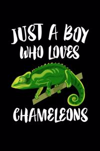 Just A Boy Who Loves Chameleons