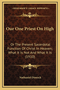 Our One Priest On High