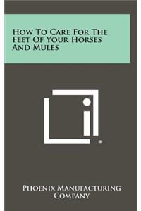 How to Care for the Feet of Your Horses and Mules