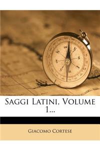 Saggi Latini, Volume 1...