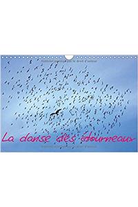 Danse Des Etourneaux 2017