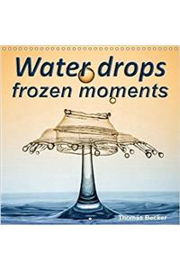 Water Drops Frozen Moments 2018