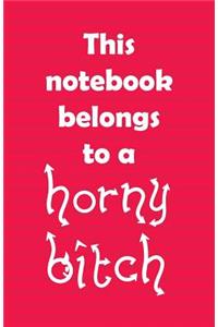 This notebook belongs to a horny bitch