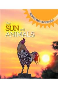 The Sun and Animals