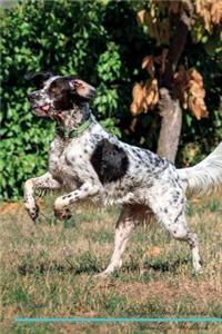 English Setter Affirmations Workbook English Setter Presents