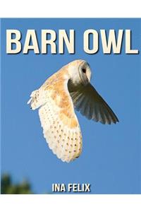 Barn Owl