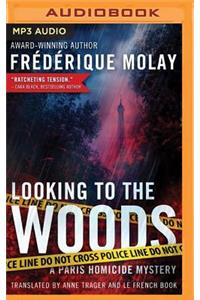 Looking to the Woods