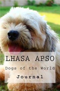 Lhasa Apso