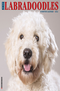 Just Labradoodles 2022 Wall Calendar (Dog Breed)