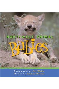 Northwest Animal Babies
