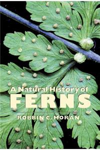 Natural History of Ferns