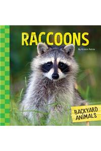 Raccoons