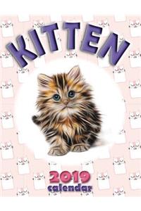 Kitten 2019 Calendar