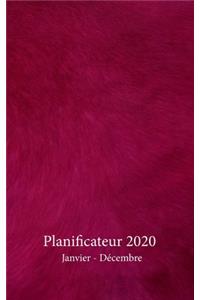 Planificateur 2020 Janvier - Décembre