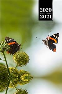 Butterfly Butterflies Insect Week Planner Weekly Organizer Calendar 2020 / 2021 - Two Black Orange