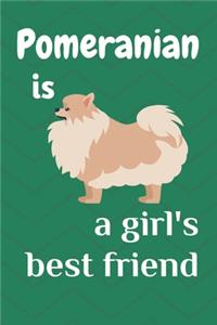 Pomeranian is a girl's best friend
