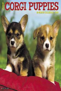 Just Corgi Puppies 2018 Wall Calendar (Dog Breed Calendar)