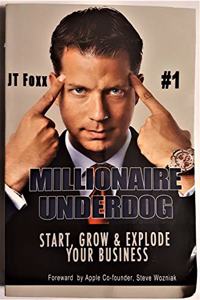 Millionaire Underdog: How to Start, Grow and Explode Any Business