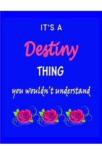 It's A Destiny Thing You Wouldn't Understand