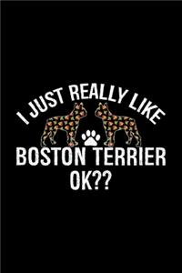 I Just Really Like Boston Terrier Ok?