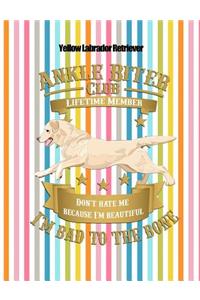 Yellow Labrador Retriever