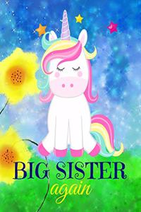 Big Sister Again