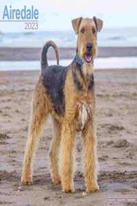 Airedale 2023 Wall Calendar