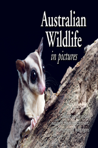 Australian Wildlife in Picture
