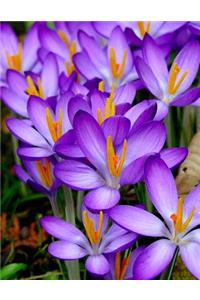 Purple Flower Notebook
