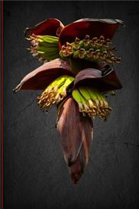 Beautiful Banana Flower Journal