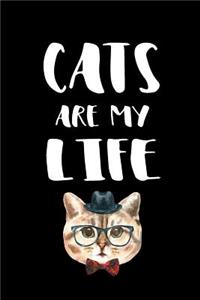 Cats Are My Life