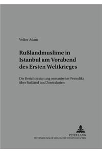 Rußlandmuslime in Istanbul Am Vorabend Des Ersten Weltkrieges