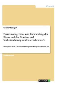 Finanzmanagement und Entwicklung der Bilanz und der Gewinn- und Verlustrechnung des Unternehmens 3