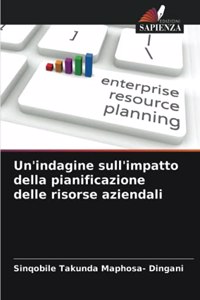 Un'indagine sull'impatto della pianificazione delle risorse aziendali