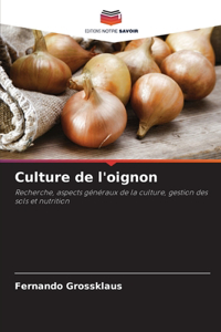 Culture de l'oignon