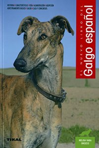 El galgo espanol