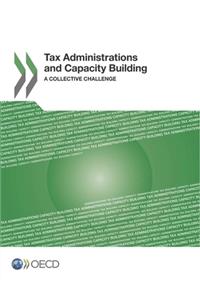Tax Administrations and Capacity Building