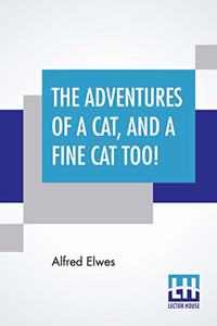 The Adventures Of A Cat, And A Fine Cat Too!