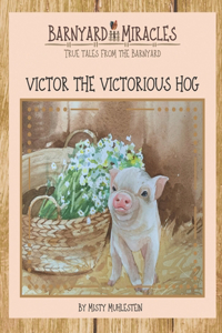 Barnyard Miracles