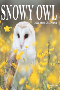 Snowy Owl