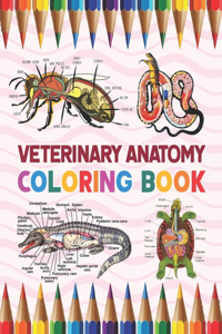 Veterinary Anatomy Coloring Book