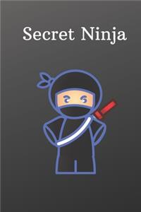 Secret Ninja
