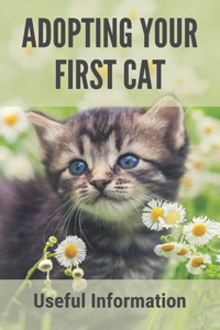 Adopting Your First Cat