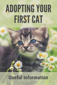 Adopting Your First Cat