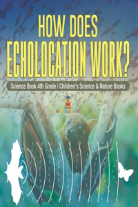 How Does Echolocation Work? Science Book 4th Grade Children's Science & Nature Books