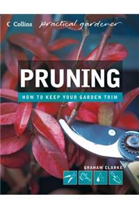 Pruning