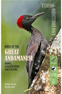 Birds of the Great Andamanese
